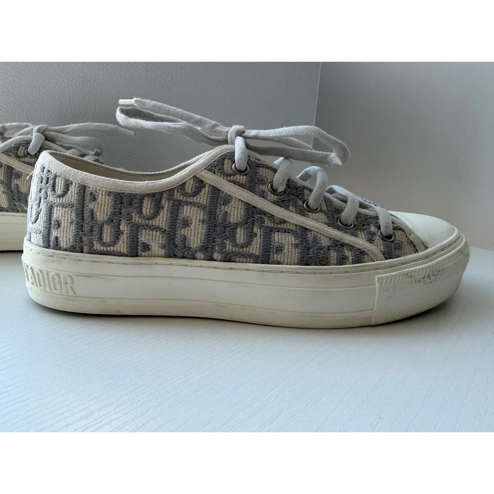 Dior authentic walk